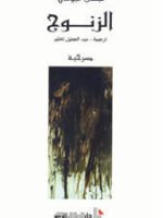 الزنوج