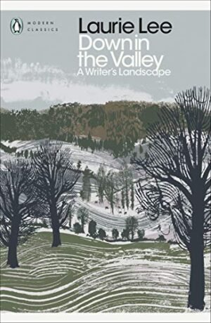 Down In The Valley: A Writer'S Landscape (Penguin Modern Classics)